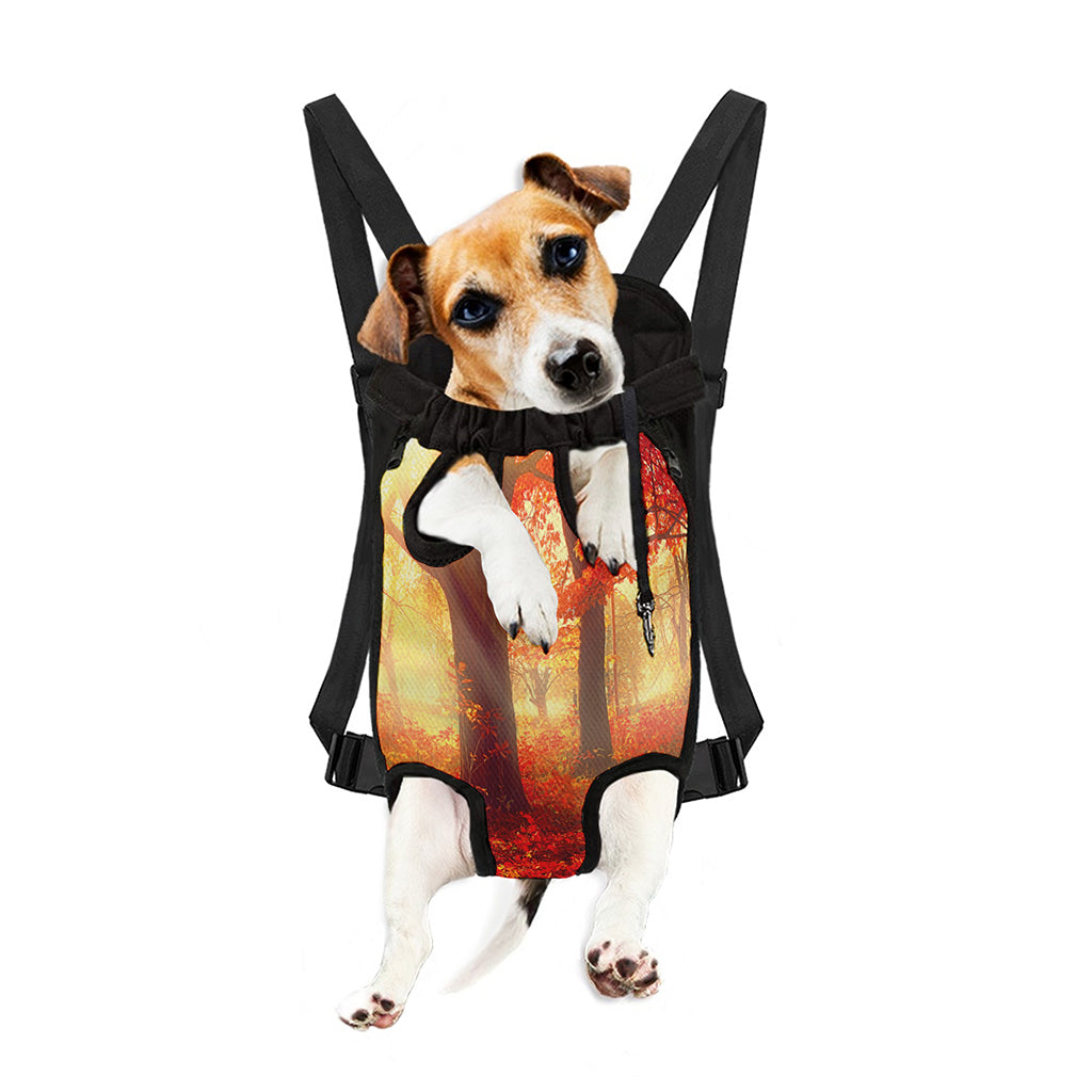 Sunshine Autumn Tree Print Pet Carrier Backpack