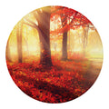 Sunshine Autumn Tree Print Round Blanket