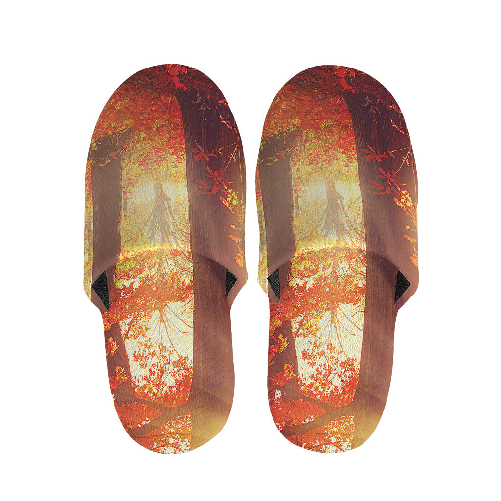 Sunshine Autumn Tree Print Slippers