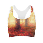 Sunshine Autumn Tree Print Women's Sports Bra