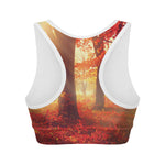 Sunshine Autumn Tree Print Women's Sports Bra
