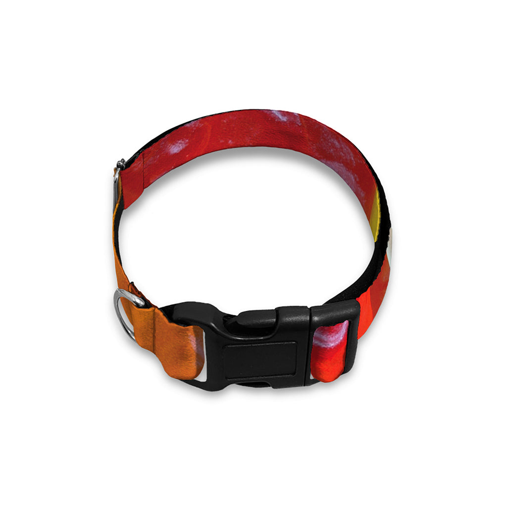 Sweet Gummy Bear Print Dog Collar