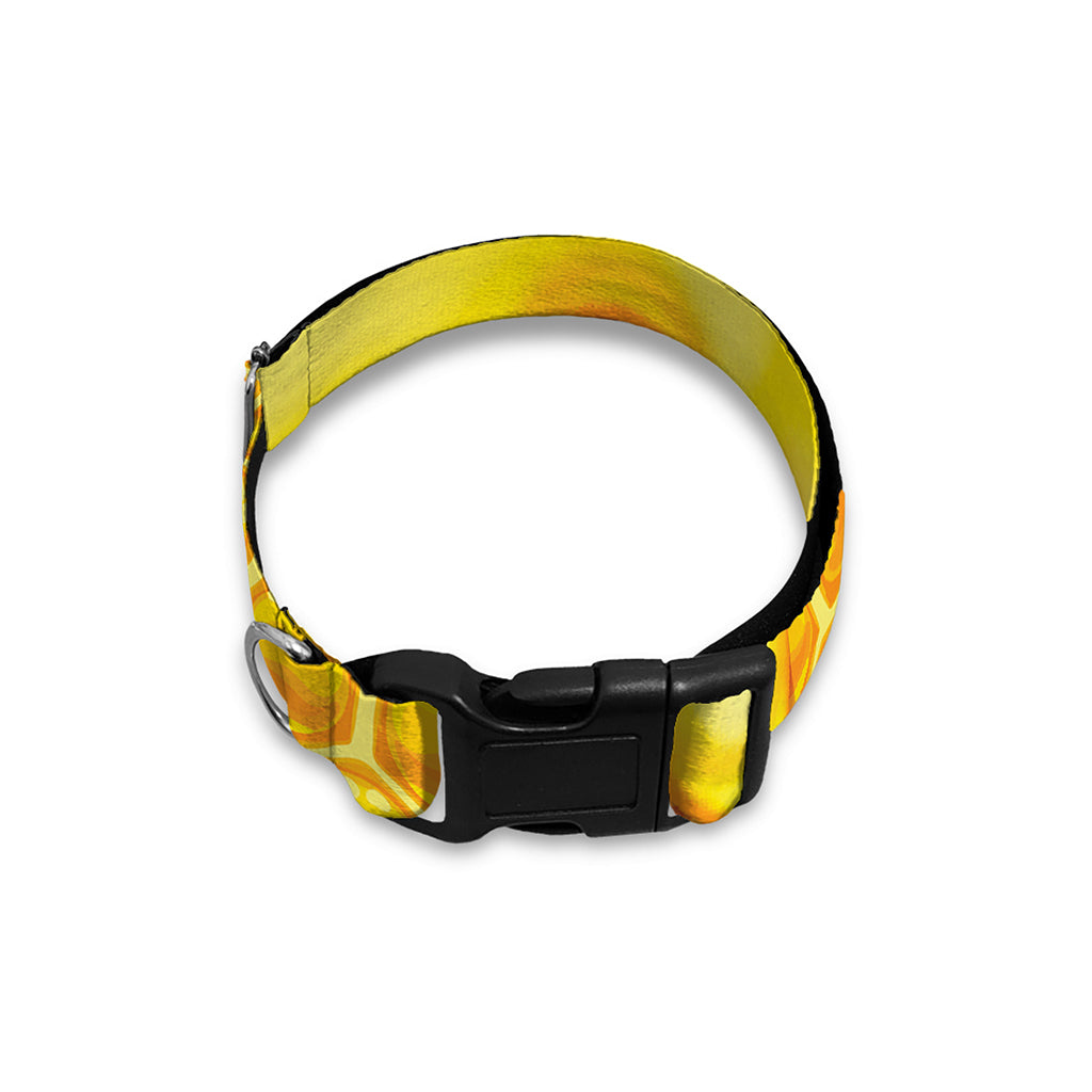 Sweet Honey Bee Hive Print Dog Collar