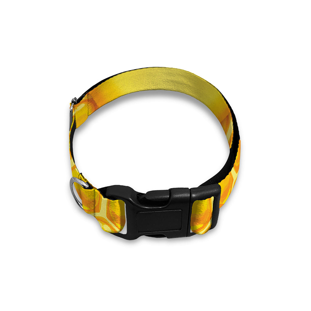 Sweet Honey Honeycomb Print Dog Collar