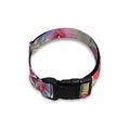 Sweet Pea Flower Pattern Print Dog Collar