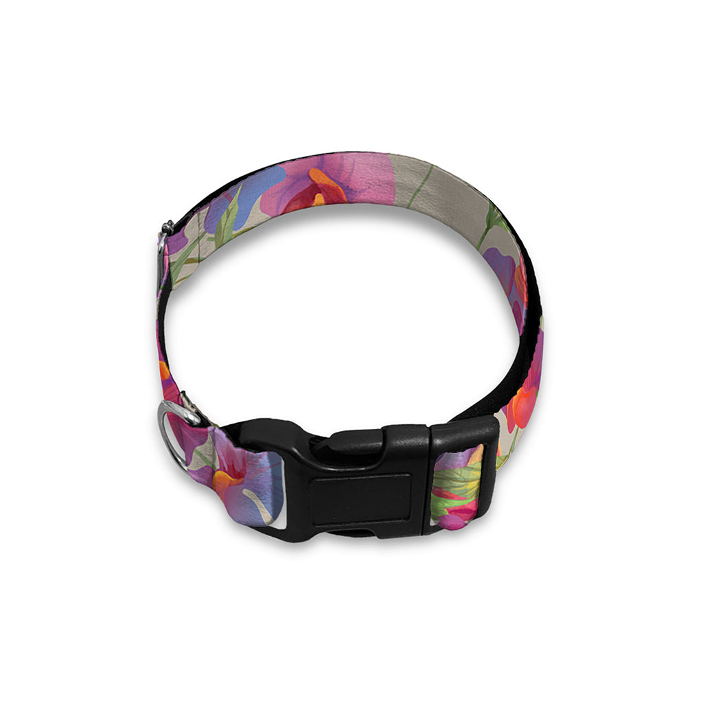 Sweet Pea Flower Pattern Print Dog Collar