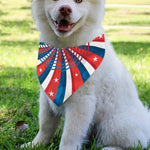 Swirly American Patriotic Print Over The Collar Dog Bandana