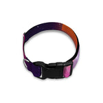 Synthwave Pyramid Print Dog Collar