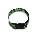 T-Rex Dinosaur And Jurassic Plants Print Dog Collar