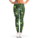 T-Rex Dinosaur And Jurassic Plants Print Women's Leggings