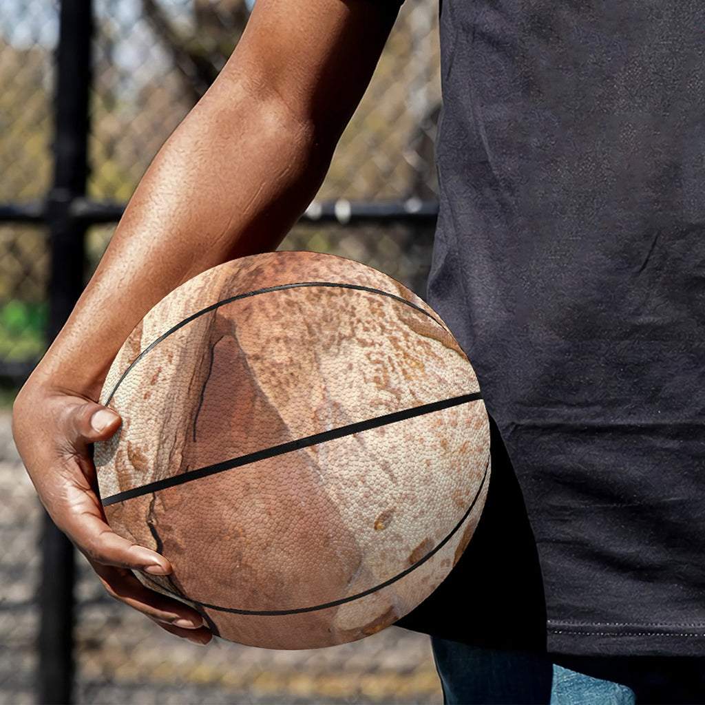 T-Rex Fossil Print Basketball