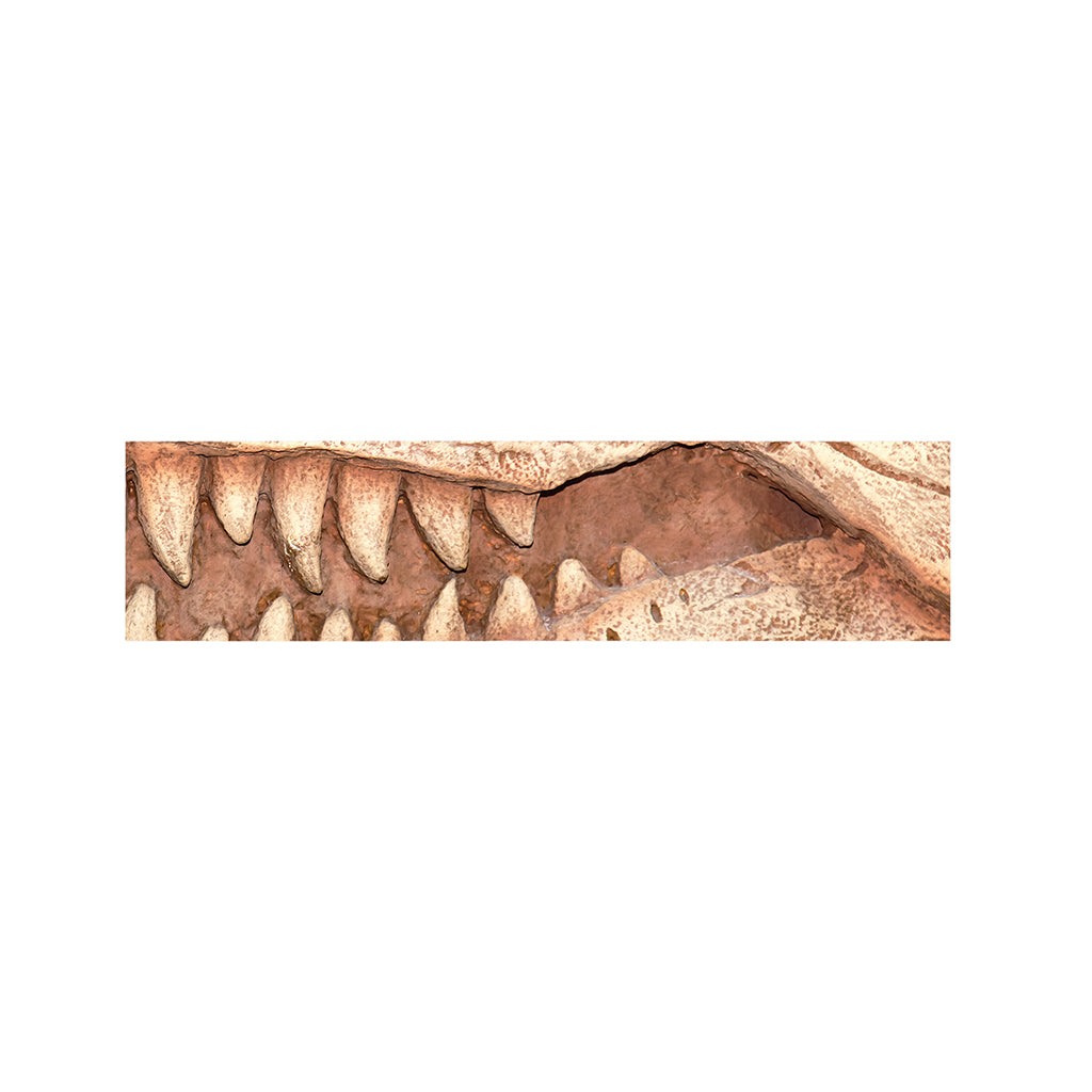 T-Rex Fossil Print Bed Runner