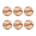 T-Rex Fossil Print Coaster Set