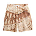 T-Rex Fossil Print Cotton Shorts