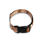 T-Rex Fossil Print Dog Collar