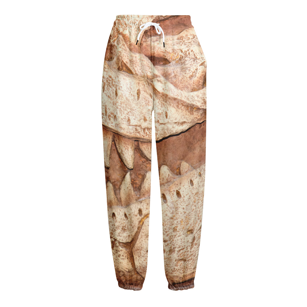 T-Rex Fossil Print Fleece Lined Knit Pants