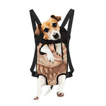 T-Rex Fossil Print Pet Carrier Backpack