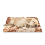 T-Rex Fossil Print Pet Cooling Mat Cover