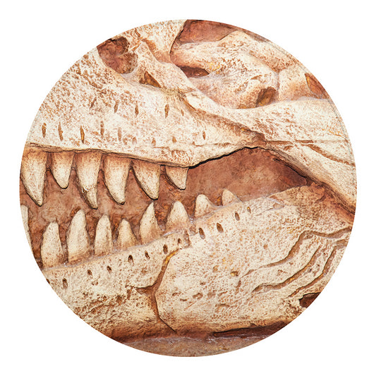 T-Rex Fossil Print Round Blanket