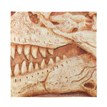 T-Rex Fossil Print Silk Bandana