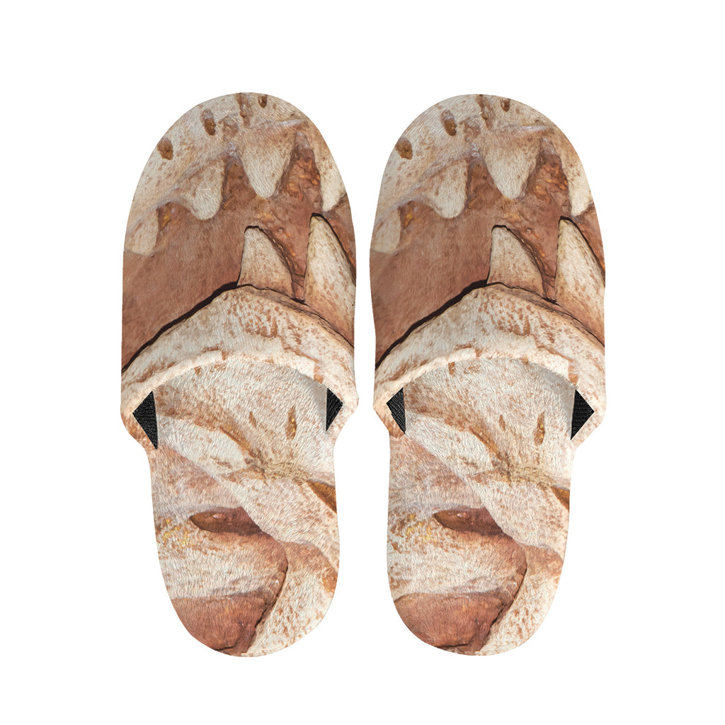 T-Rex Fossil Print Slippers