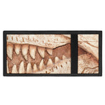 T-Rex Fossil Print Trifold Wallet