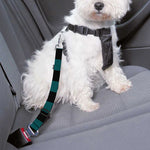 Teal And Black Buffalo Check Print Dog Seat Belt