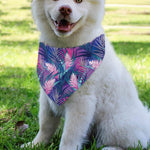 Teal And Pink Tropical Floral Print Over The Collar Dog Bandana