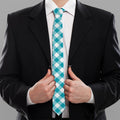 Teal And White Gingham Pattern Print Necktie