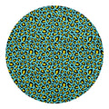 Teal And Yellow Leopard Pattern Print Round Blanket