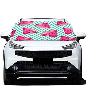 Teal Chevron Watermelon Pattern Print Car Windshield Snow Cover