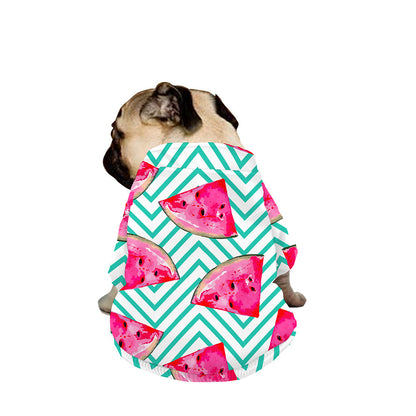 Teal Chevron Watermelon Pattern Print Dog Zip Up Jacket