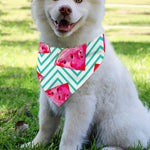 Teal Chevron Watermelon Pattern Print Over The Collar Dog Bandana