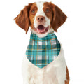 Teal Madras Pattern Print Dog Bandana