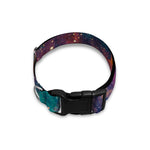 Teal Orange Universe Galaxy Space Print Dog Collar