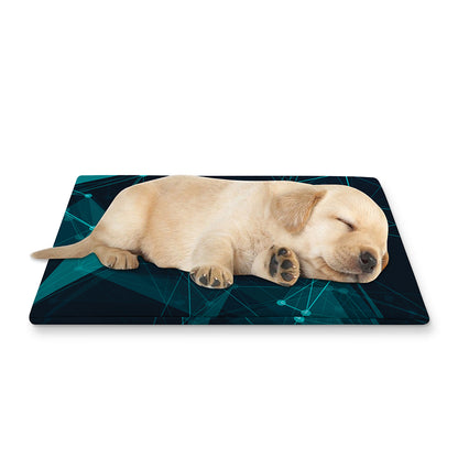 Teal Polygonal Dot Geometric Print Pet Cooling Mat Cover