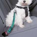Teal Stardust Galaxy Space Print Dog Seat Belt