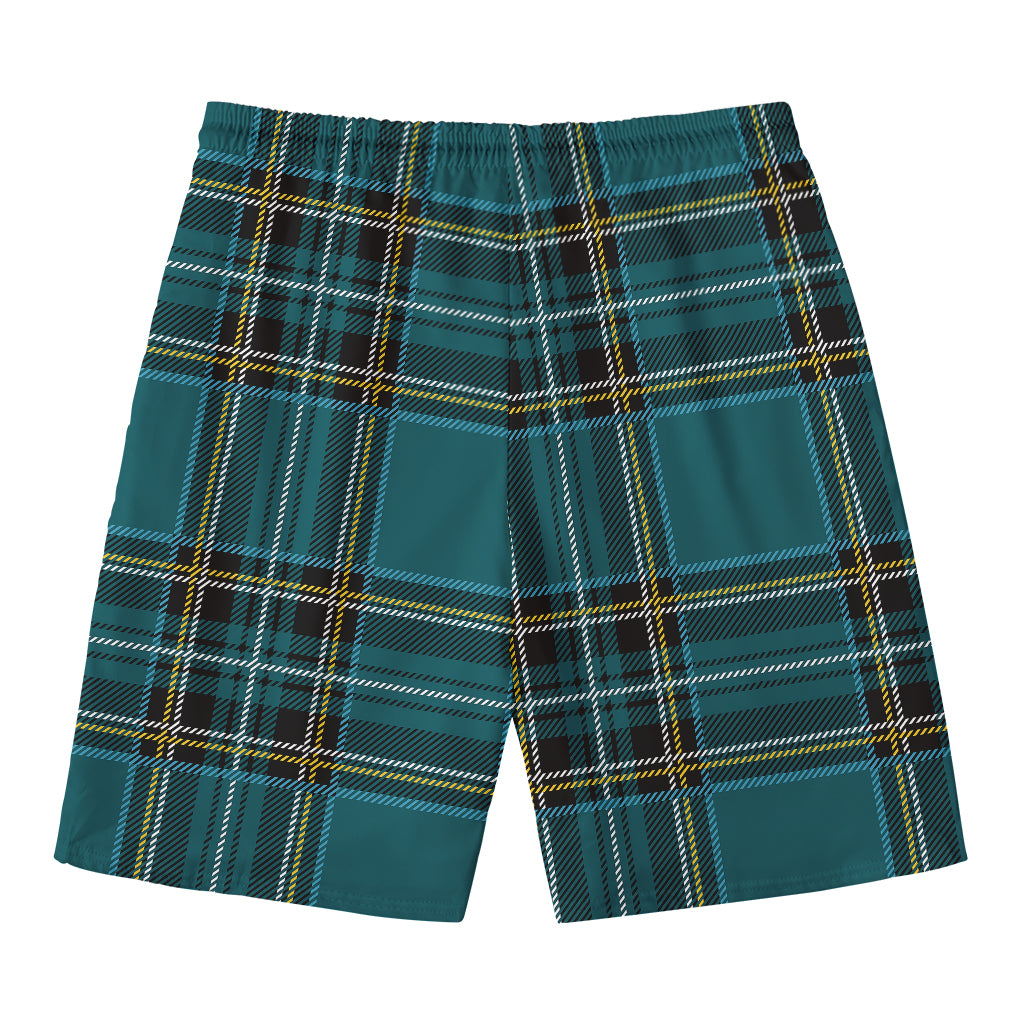 Teal Stewart Tartan Pattern Print Men's Swim Trunks
