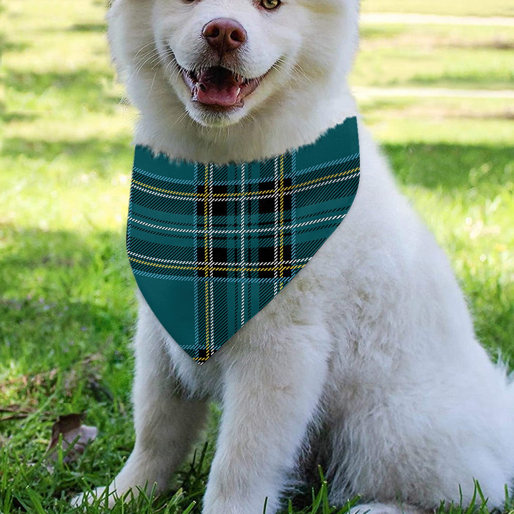 Teal Stewart Tartan Pattern Print Over The Collar Dog Bandana