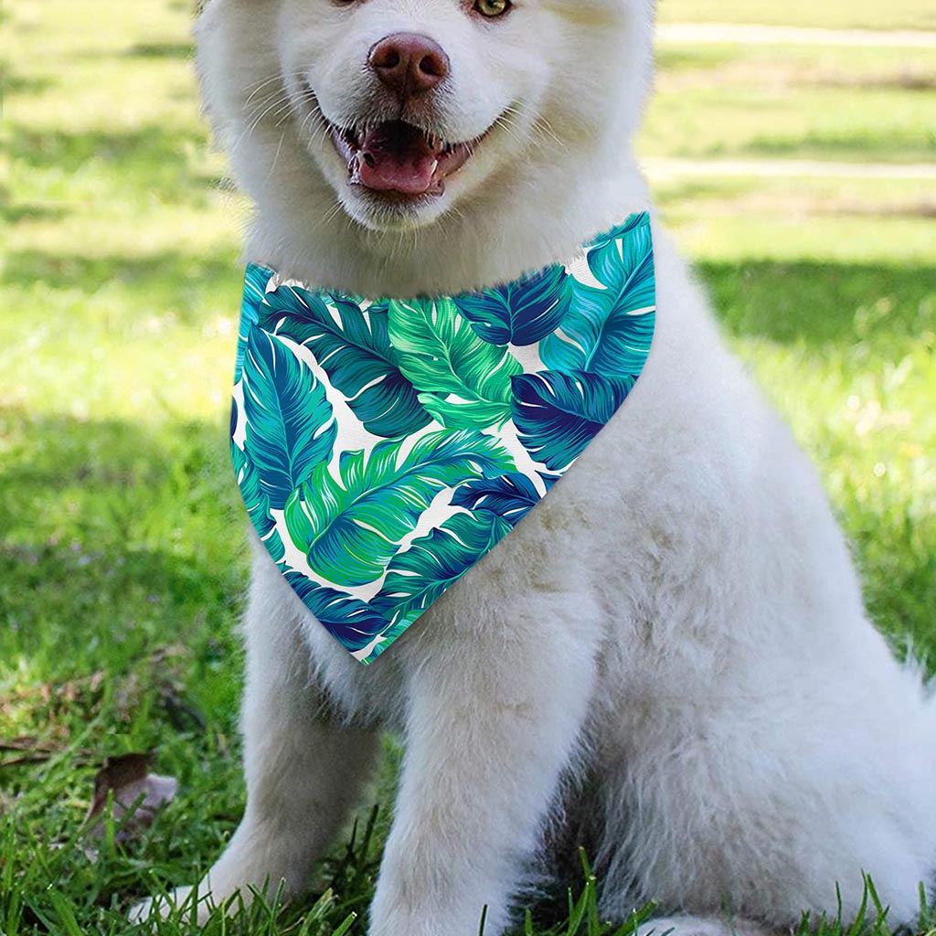 Teal Tropical Leaf Pattern Print Over The Collar Dog Bandana