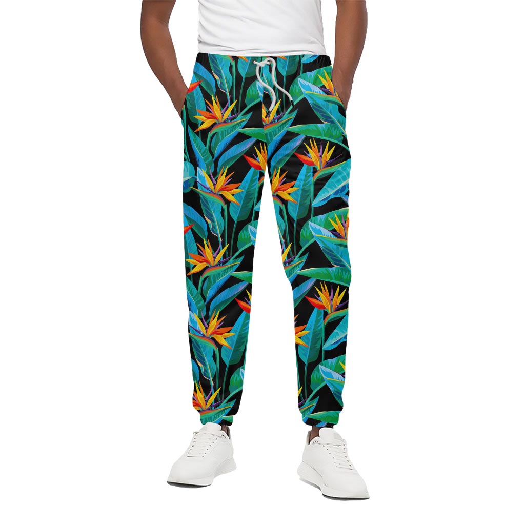 Teal Tropical Pattern Print Cotton Pants