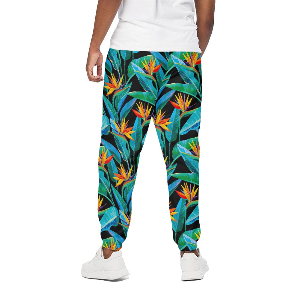 Teal Tropical Pattern Print Cotton Pants