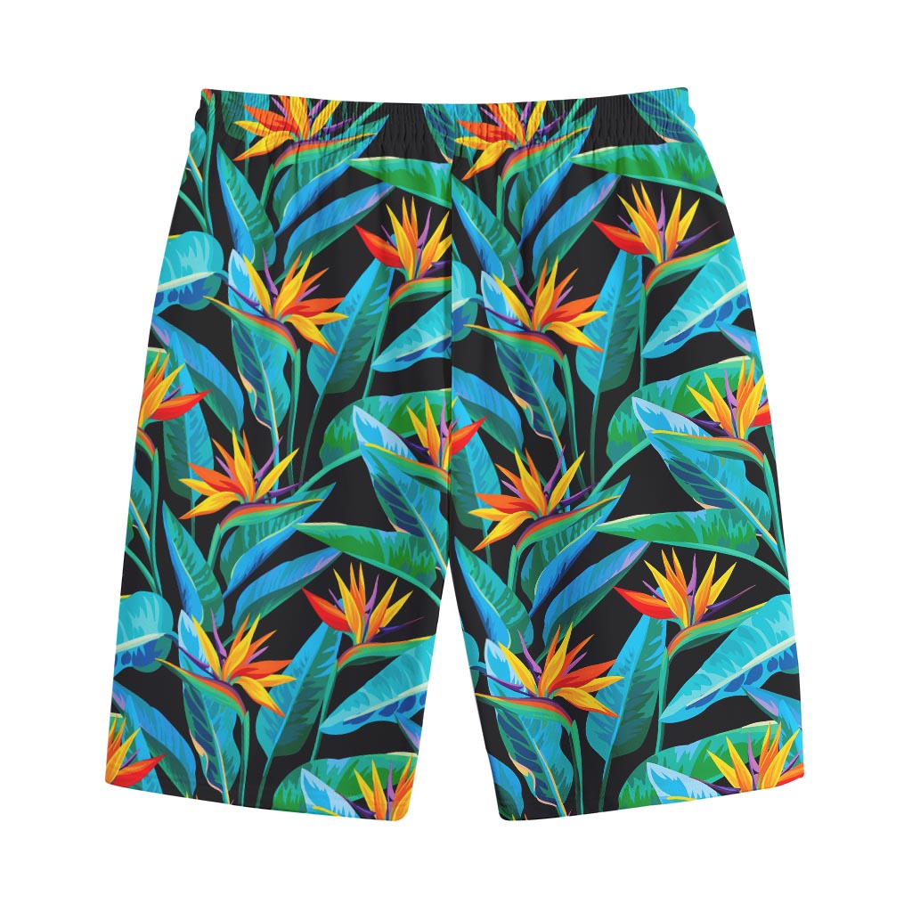 Teal Tropical Pattern Print Cotton Shorts