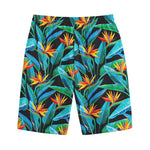 Teal Tropical Pattern Print Cotton Shorts