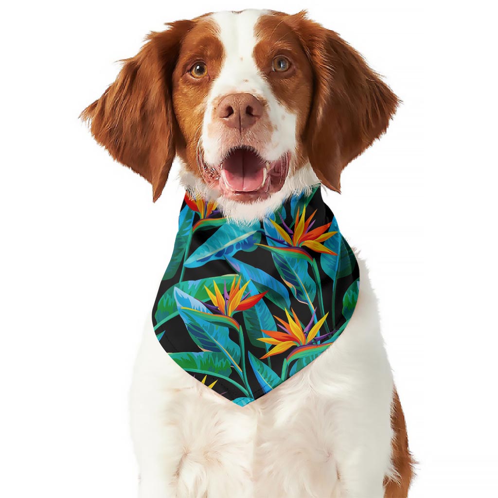 Teal Tropical Pattern Print Dog Bandana