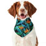 Teal Tropical Pattern Print Dog Bandana