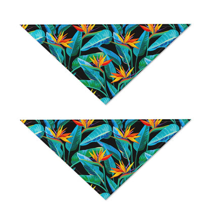 Teal Tropical Pattern Print Dog Bandana