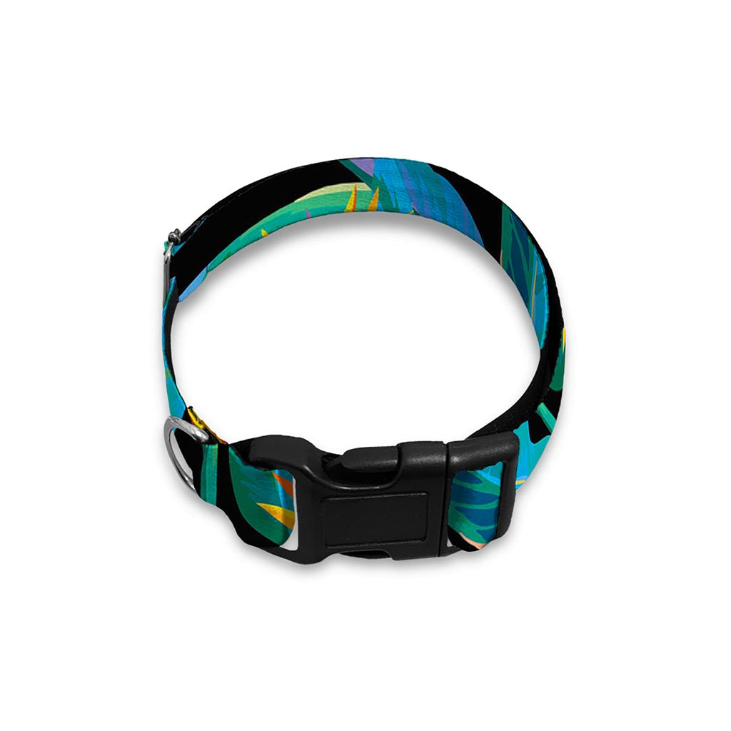 Teal Tropical Pattern Print Dog Collar