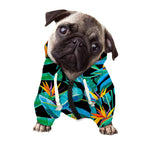 Teal Tropical Pattern Print Dog Zip Up Hoodie