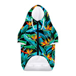 Teal Tropical Pattern Print Dog Zip Up Hoodie